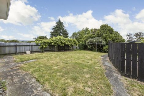Photo of property in 15 Sholson Street, Putaruru, 3411