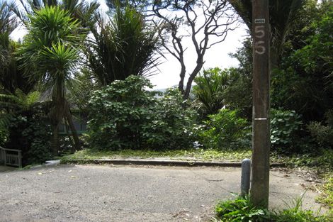 Photo of property in 55 Rayner Road, Piha, New Lynn, 0772
