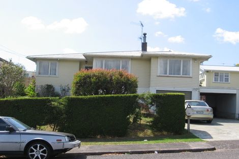 Photo of property in 53 Ellis Avenue, Mount Roskill, Auckland, 1041