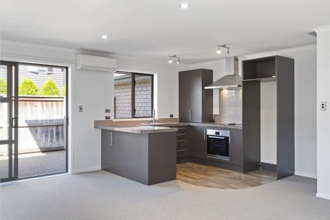 Photo of property in 17 Stadium Lane, Whitiora, Hamilton, 3200