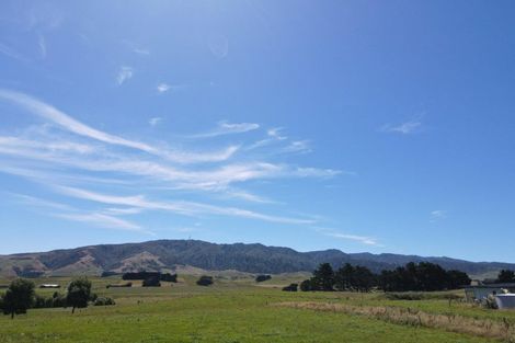 Photo of property in 97 Mcconaghty Road, Papatawa, Woodville, 4998