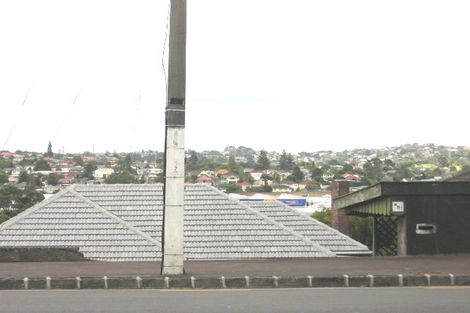 Photo of property in 481 Mount Albert Road, Mount Roskill, Auckland, 1042