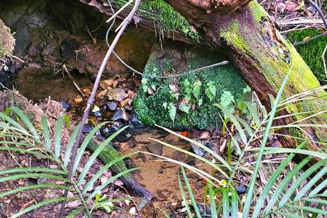 Photo of property in 243 Creamery Road, Kohukohu, 0491