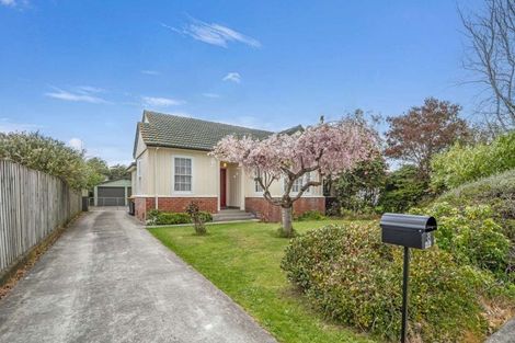 Photo of property in 8 Bampton Street, Dallington, Christchurch, 8061
