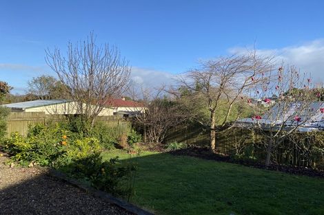 Photo of property in 29 Hinau Street, Maeroa, Hamilton, 3200