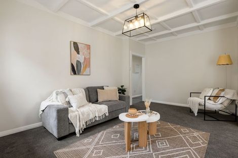 Photo of property in 17 Hinau Street, Maeroa, Hamilton, 3200