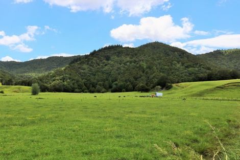 Photo of property in 1008 Tangowahine Valley Road, Tangowahine, Dargaville, 0372