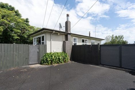 Photo of property in 55 Bruce Avenue, Glenview, Hamilton, 3206