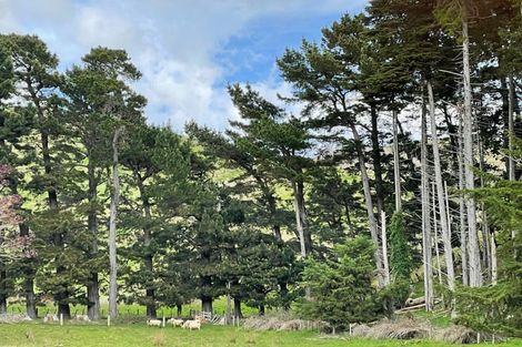 Photo of property in 688 Rotohiwi Road, Flemington, Waipukurau, 4282