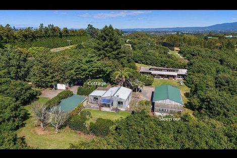 Photo of property in 463 State Highway, Tahawai, Katikati, 3170