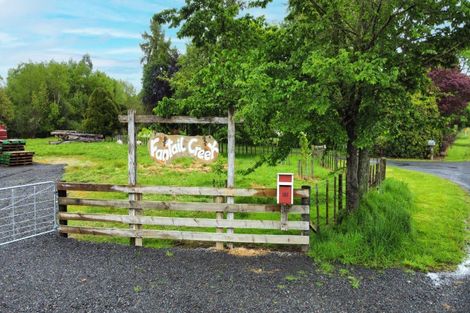 Photo of property in 161 Kawautahi Road, Owhango, 3989