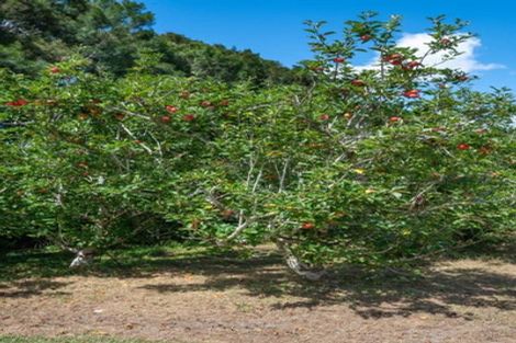 Photo of property in 1295 Coatesville-riverhead Highway, Kumeu, 0892