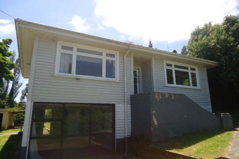 Photo of property in 63 Arapuni Street, Putaruru, 3411