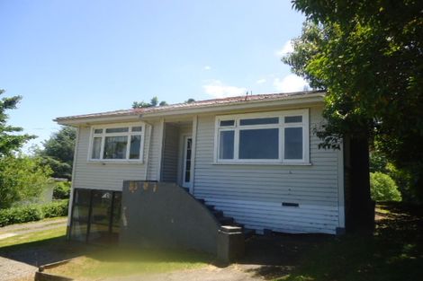 Photo of property in 63 Arapuni Street, Putaruru, 3411