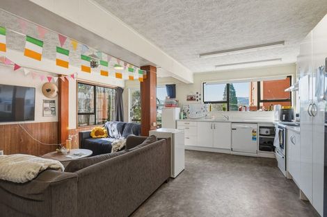 Photo of property in 66 Royal Terrace, Dunedin Central, Dunedin, 9016