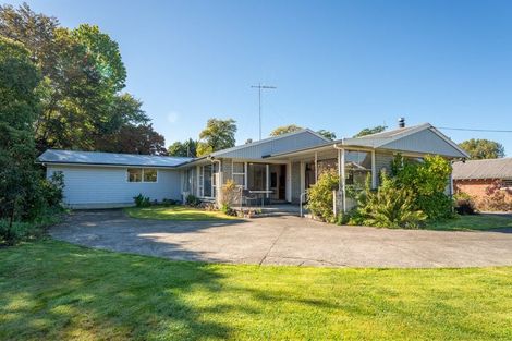 Photo of property in 59 Main North Road, Geraldine, 7930