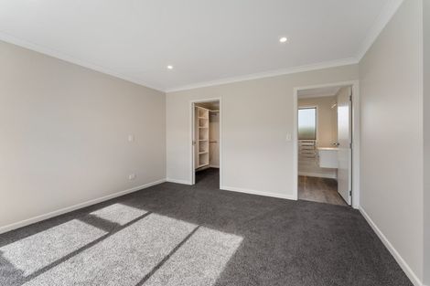 Photo of property in 117a Queen Street West, Levin, 5510