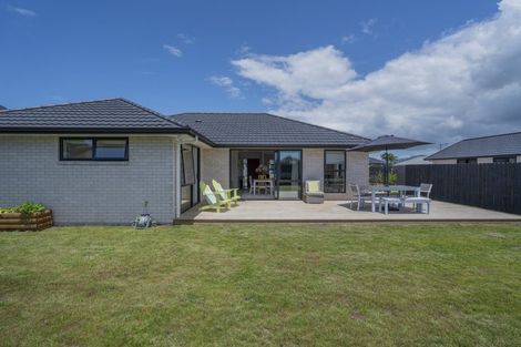 Photo of property in 8 Palm Drive, Whitianga, 3510