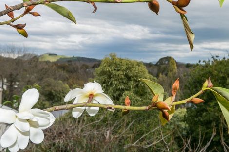 Photo of property in 56 Muritai Crescent, Havelock North, 4130