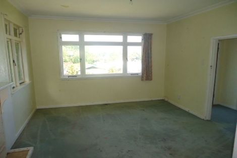 Photo of property in 63 Arapuni Street, Putaruru, 3411