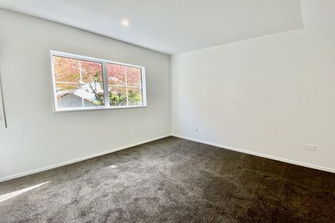 Photo of property in 24 Dobson Street, Spreydon, Christchurch, 8024