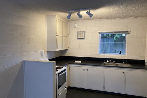 Photo of property in 170 Ulster Street, Whitiora, Hamilton, 3200