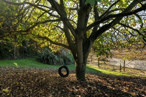 Photo of property in 267 Pongakawa Station Road, Pongakawa, Te Puke, 3186