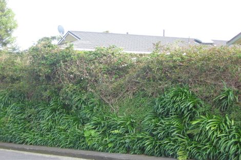 Photo of property in 1b Shortland Street, Lower Vogeltown, New Plymouth, 4310