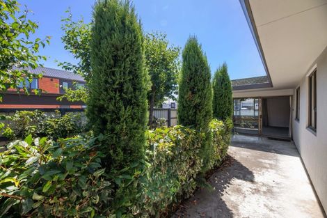 Photo of property in 29 Francis Street, Blenheim, 7201