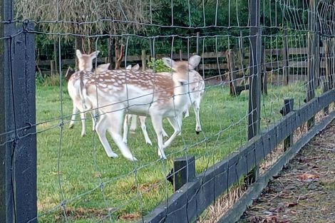 Photo of property in 288 Oropi Gorge Road, Oropi, Tauranga, 3173