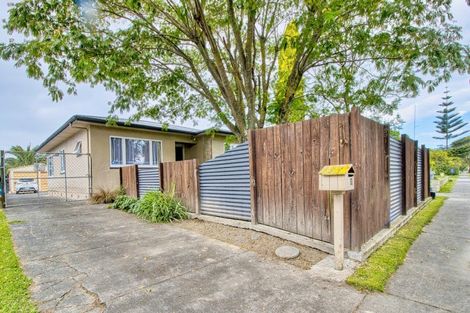 Photo of property in 20 Hillary Crescent, Maraenui, Napier, 4110