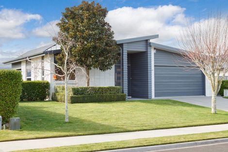 Photo of property in 17 Maple Place, Matamata, 3400