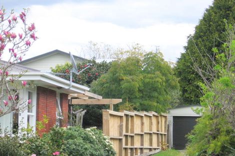 Photo of property in 5 Wiremu Street, Brookfield, Tauranga, 3110