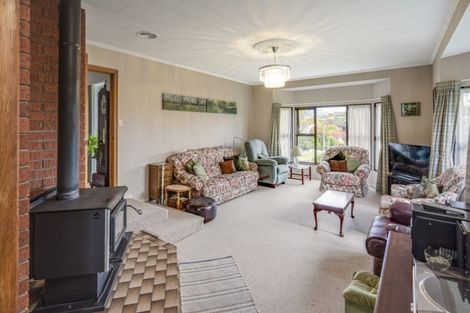 Photo of property in 30 Farnham Drive, Richmond, 7020