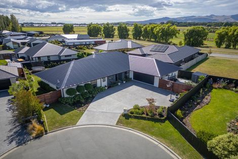 Photo of property in 29 Payne Court, Lincoln, 7608