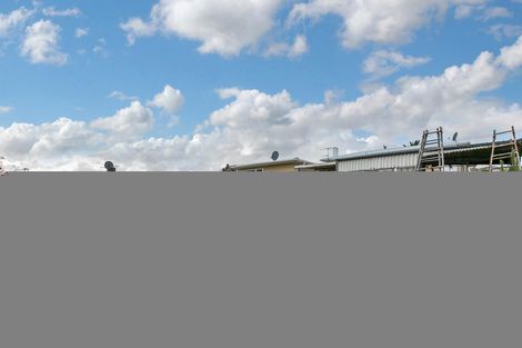 Photo of property in 50 Ellis Avenue, Mount Roskill, Auckland, 1041