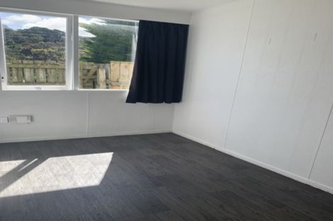 Photo of property in 78 Mcalpine Avenue, Mount Cook, Wellington, 6011