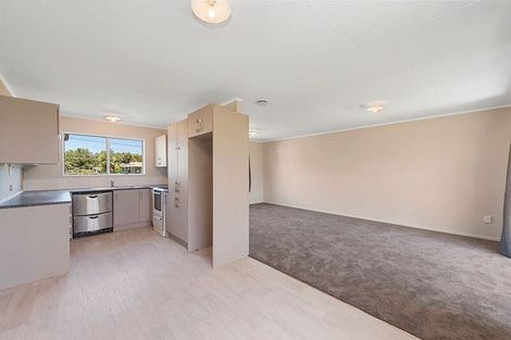 Photo of property in 51 Alfred Street, Fairfield, Hamilton, 3214