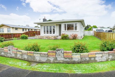 Photo of property in 8 Freyberg Street, Feilding, 4702