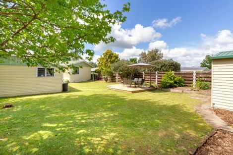 Photo of property in 165 Salisbury Street, Ashhurst, 4810