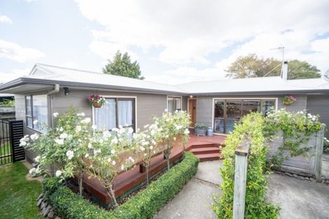 Photo of property in 41a Manawatu Street, Hokowhitu, Palmerston North, 4410