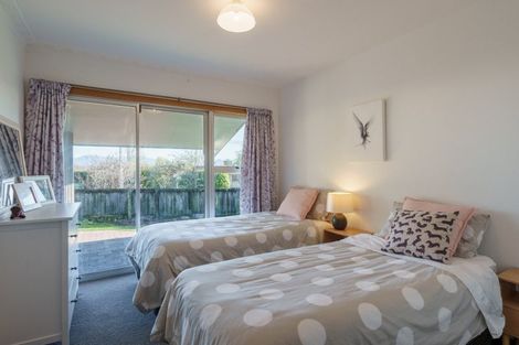 Photo of property in 203 Redwood Street, Witherlea, Blenheim, 7201