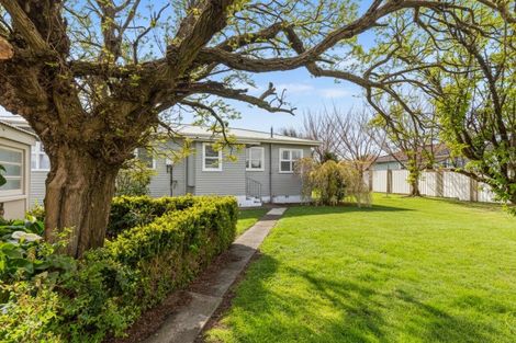 Photo of property in 5 Jellicoe Street, Greytown, 5712