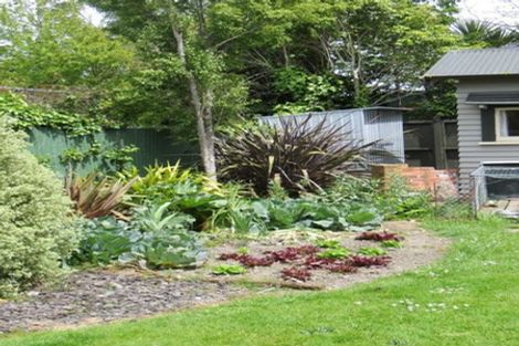 Photo of property in 374 College Street, Hokowhitu, Palmerston North, 4410