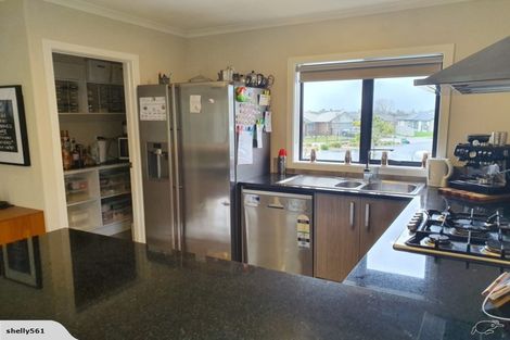 Photo of property in 14 Patatee Terrace, Baverstock, Hamilton, 3200