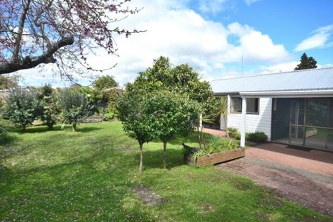 Photo of property in 5b Manson Street, Gate Pa, Tauranga, 3112