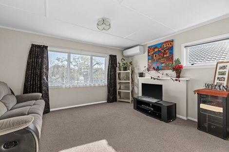 Photo of property in 901 Rimu Street, Mahora, Hastings, 4120