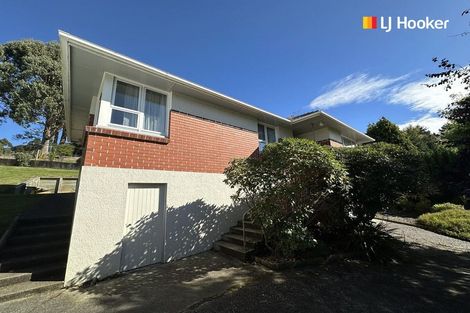 Photo of property in 29 Saint Albans Street, Bradford, Dunedin, 9011