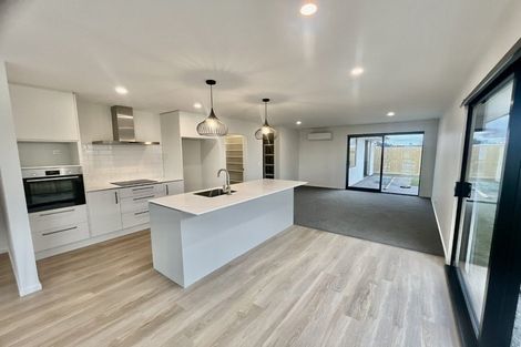 Photo of property in 19 Llew Summers Street, Belfast, Christchurch, 8051