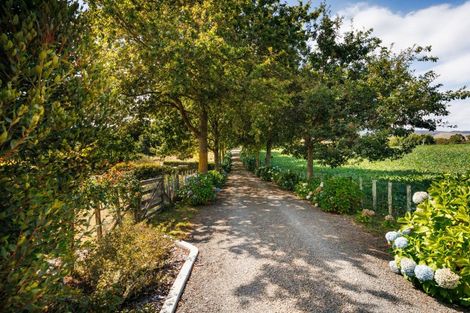 Photo of property in 521 Pohangina Road, Pohangina, Ashhurst, 4884